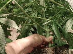 5d7eb987-0275-48d0-a8d7-c190f232d4a7