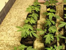 5e314b9c-2d0b-42c9-b94c-f89f604d87f5