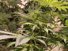 6a2adb34-e5cd-4f37-a6ce-0387cadfd6c1