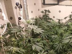 1b91dae1-2bcf-460f-8630-03f5c87d34b8