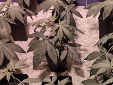 2f93b25f-e22b-4172-addc-fcedfaf4ba2d