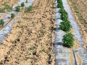 1efabca5-0c6c-4a17-82d0-c6168fcc8493