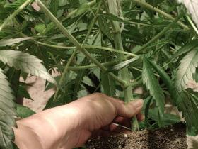 5d7eb987-0275-48d0-a8d7-c190f232d4a7