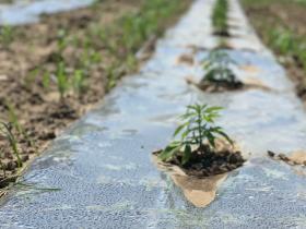 141ff3df-7538-4982-bd7b-9c58b38aed2c