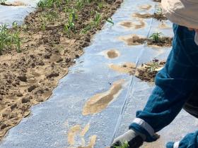 9ce09cec-0aaa-4ad8-899d-d308c486e823