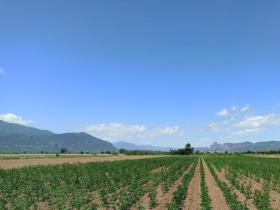 96ee417d-04ba-4ae8-ba98-331105f14b17