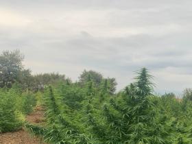 37ec39bf-4fed-40a1-8e7c-c21bd5236b91