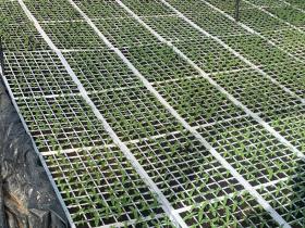 b18d5945-e9fc-4e17-af1c-2b86f589f80a