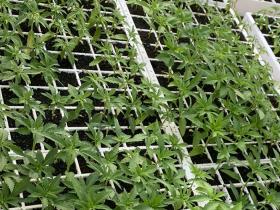 0fa5101c-2f7d-4e9e-9b22-f438f1069fc3