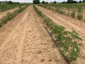 3eec9a7d-fab2-41ff-92a7-b0a4f8d7c510