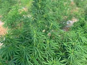 764d5b6c-66ca-4b4d-b024-84f5e9d16809