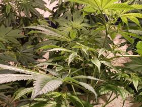 6a2adb34-e5cd-4f37-a6ce-0387cadfd6c1