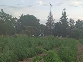 680e1d33-f788-4df3-aa3a-e73eaa61dd8e