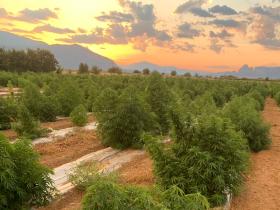 469b4cfd-259c-4c3a-b120-ed7e171e7b8f