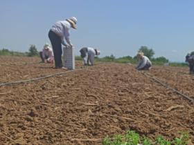 d8f8d5d2-9180-4e95-9aae-fc4ad9857503