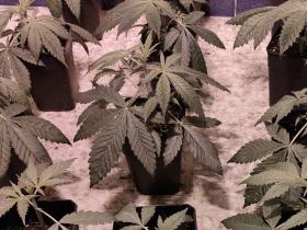 2f93b25f-e22b-4172-addc-fcedfaf4ba2d