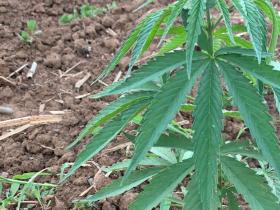 2b94e3b2-05f5-44d1-9d72-90dc5a6a2851