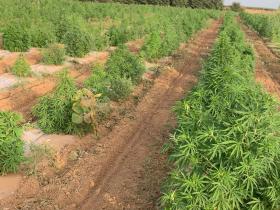 868d51d6-3c42-4afe-b9f1-f05b2225358f