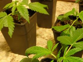 845a9332-2b5a-4249-993e-9457c1c8fa5a