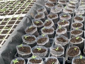 edef6bd7-3f4d-400a-b10c-6ba8504bbaf6