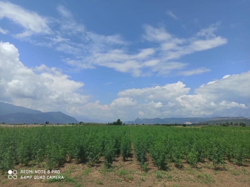 689cc0ec-d266-4ccc-8de8-39fa422c1c6e