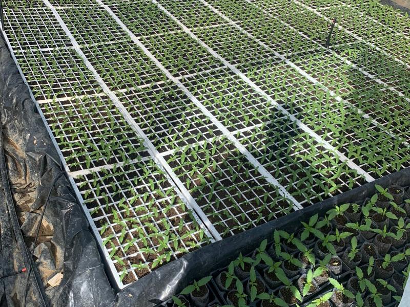 b18d5945-e9fc-4e17-af1c-2b86f589f80a