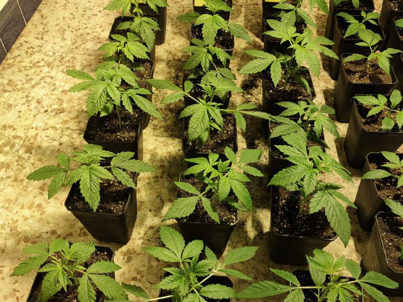 5e314b9c-2d0b-42c9-b94c-f89f604d87f5