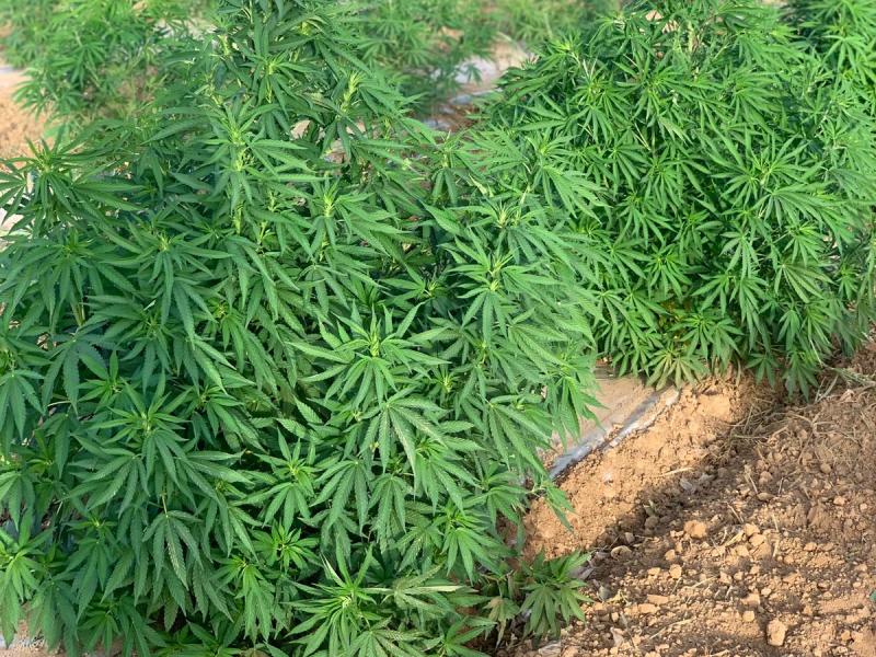 764d5b6c-66ca-4b4d-b024-84f5e9d16809