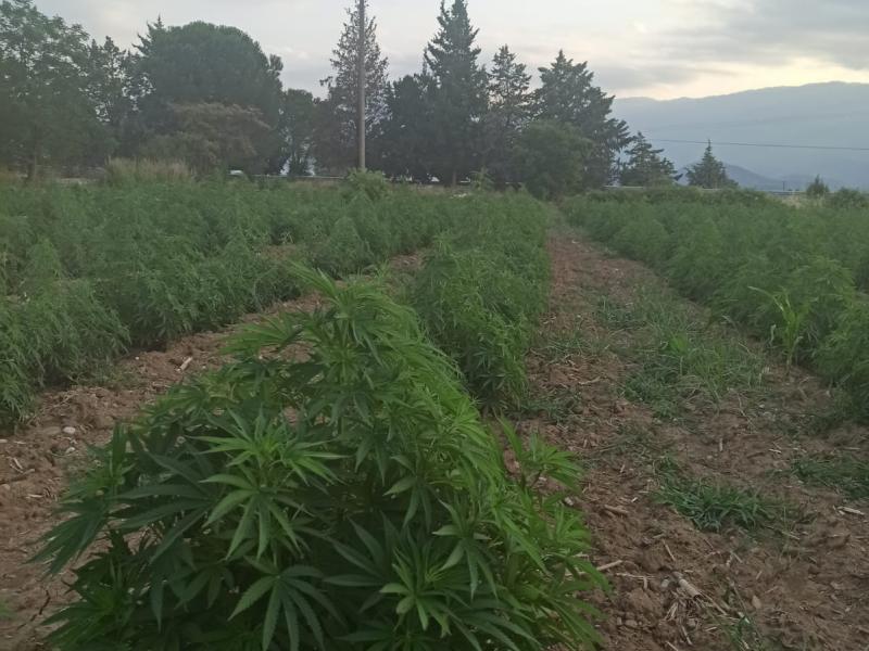 680e1d33-f788-4df3-aa3a-e73eaa61dd8e