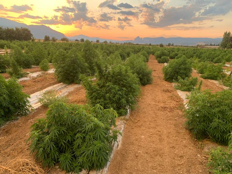 469b4cfd-259c-4c3a-b120-ed7e171e7b8f