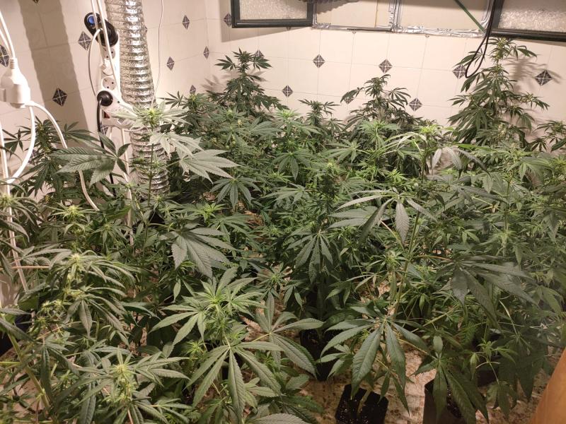 1b91dae1-2bcf-460f-8630-03f5c87d34b8