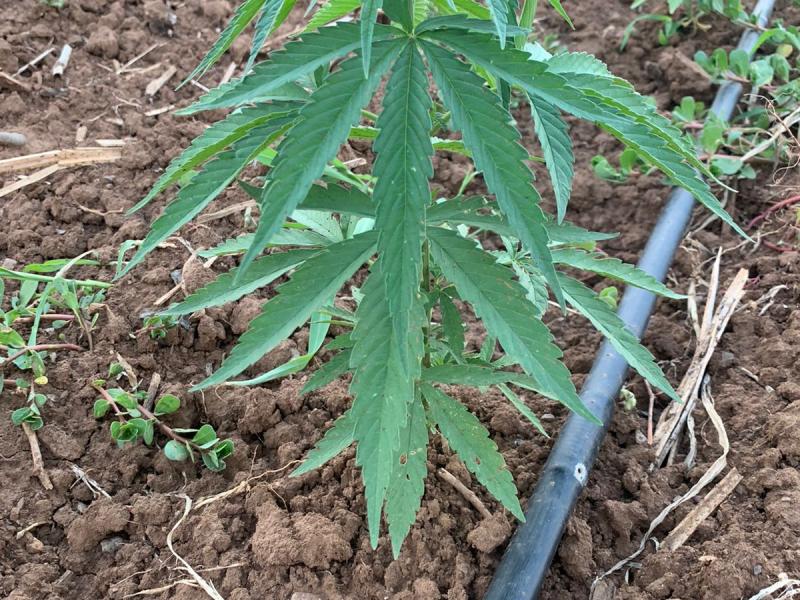 2b94e3b2-05f5-44d1-9d72-90dc5a6a2851