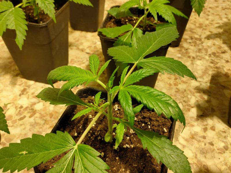 845a9332-2b5a-4249-993e-9457c1c8fa5a